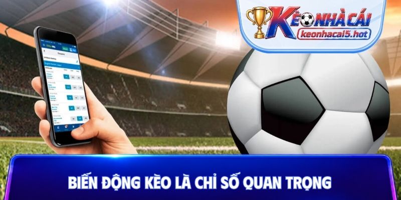 Biến động kèo là chỉ số quan trọng