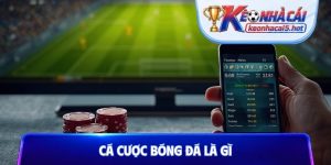 cá cược bóng đá là gì