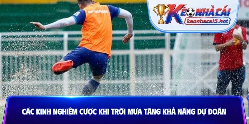 Các kinh nghiệm cược khi trời mưa tăng khả năng dự đoán