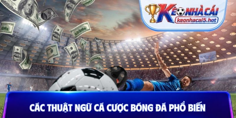 Các thuật ngữ cá cược bóng đá cực phổ biến