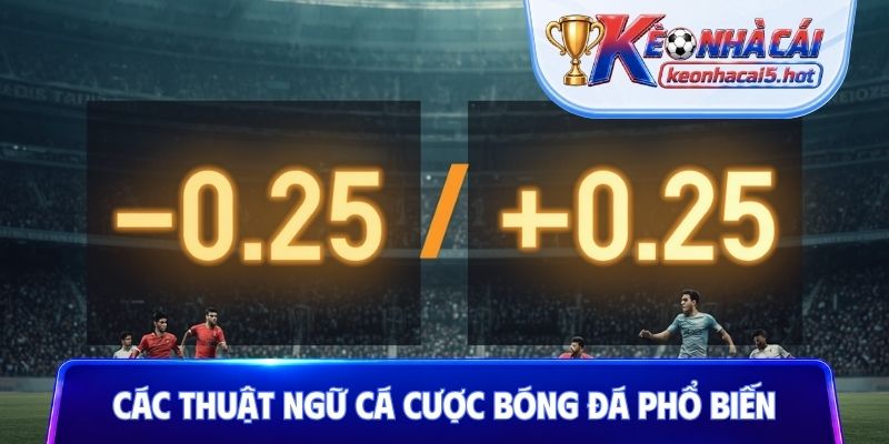 Các thuật ngữ cá cược bóng đá phổ biến