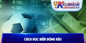 Cách đọc biến động kèo