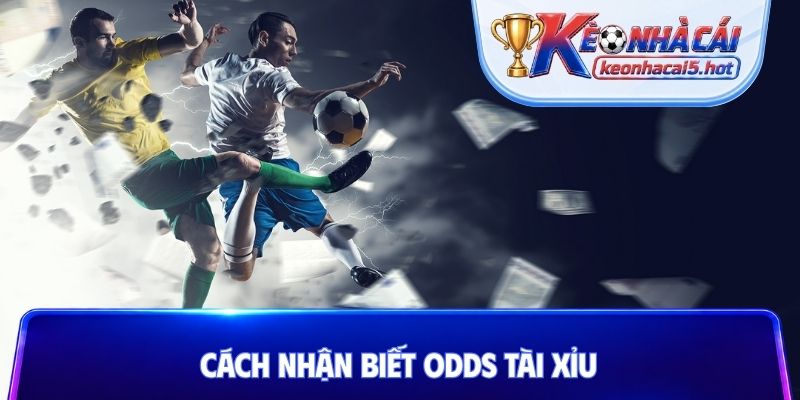 Cách nhận biết odds tài xỉu