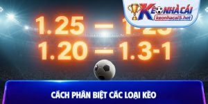 cách phân biệt các loại kèo