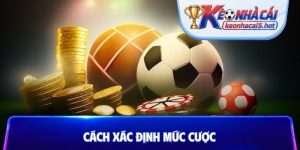 cách xác định mức cược