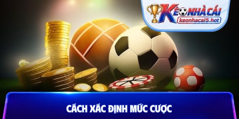 cách xác định mức cược