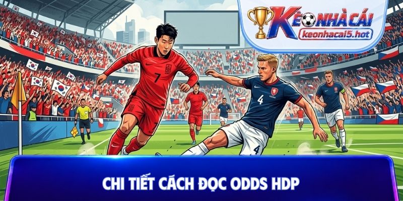 Chi tiết cách đọc odds HDP