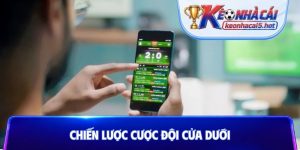 Chiến lược cược đội cửa dưới
