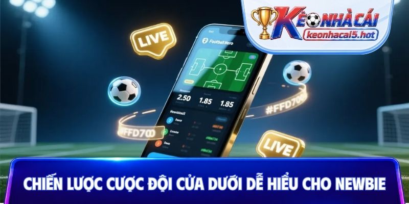 Chiến lược cược đội cửa dưới dễ hiểu cho newbie