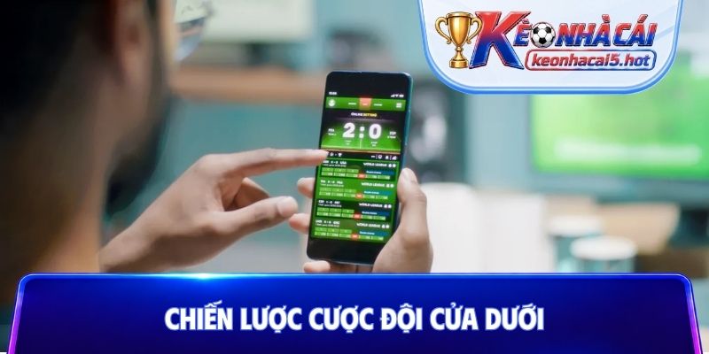 Chiến lược cược đội cửa dưới