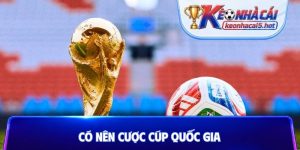 Có nên cược cúp quốc gia