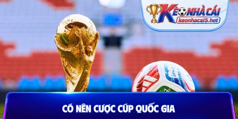 Có nên cược cúp quốc gia