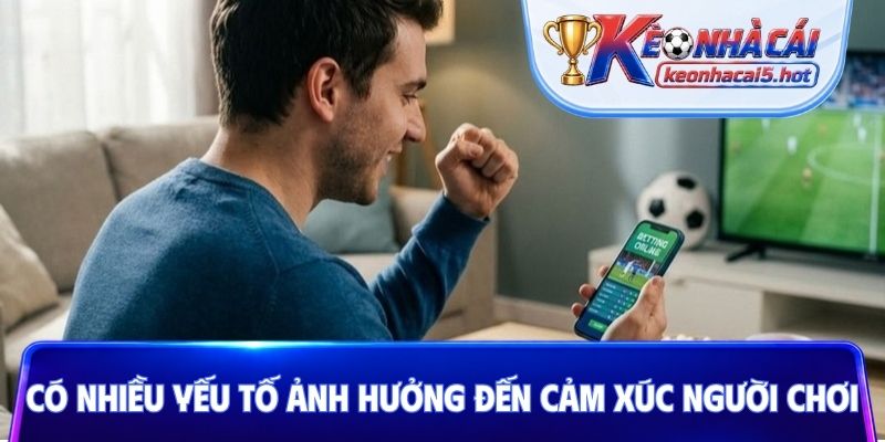 Có nhiều yếu tố ảnh hưởng đến cảm xúc người chơi