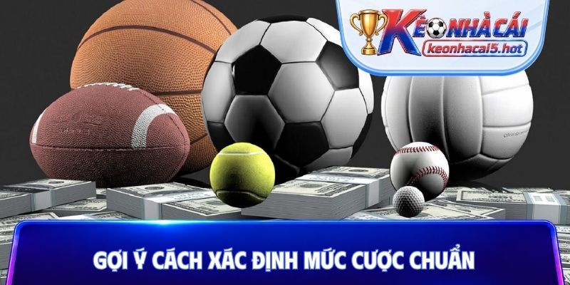Gợi ý cách xác định mức cược chuẩn