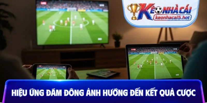Hiệu ứng đám đông ảnh hướng đến kết quả cược