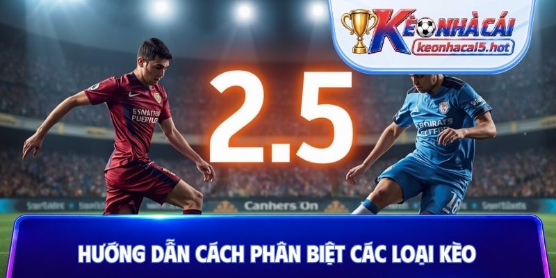 Hướng dẫn cách phân biệt các loại kèo