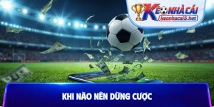khi nào nên dừng cược