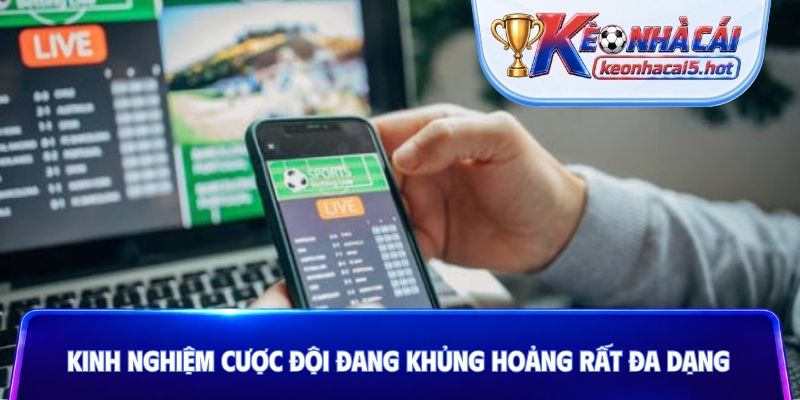 Kinh nghiệm cược đội đang khủng hoảng rất đa dạng