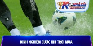 Kinh nghiệm cược khi trời mưa