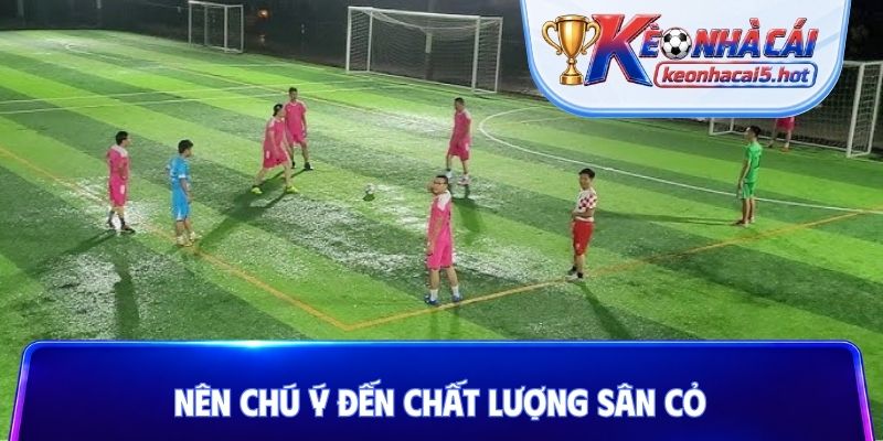 Nên chú ý đến chất lượng sân cỏ