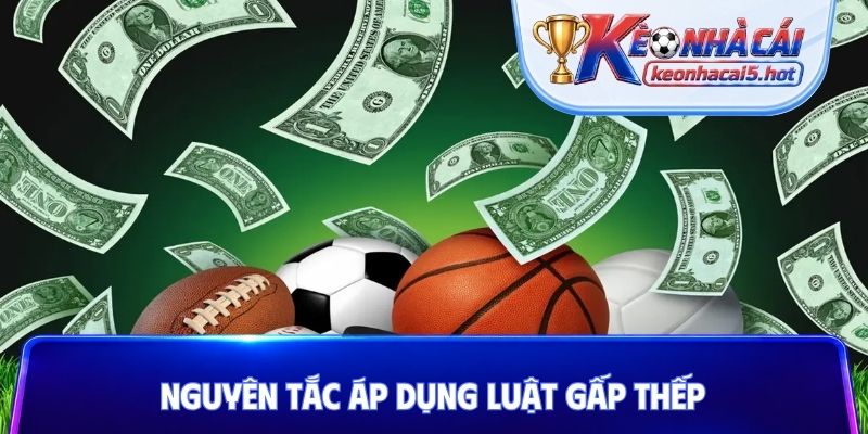 Nguyên tắc áp dụng luật gấp thếp