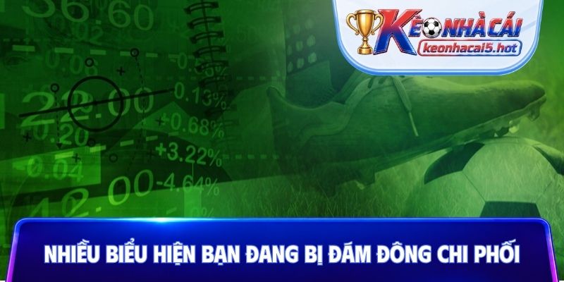 Nhiều biểu hiện cho biết bạn đang bị đám đông chi phối