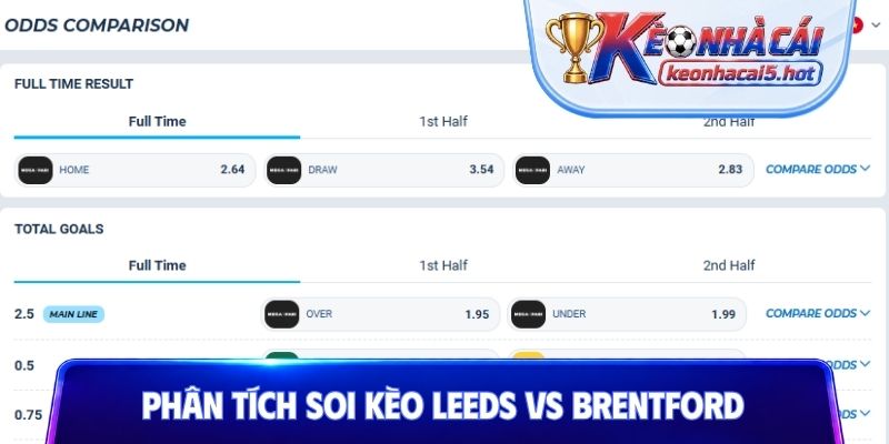 Phân tích soi kèo Leeds vs Brentford để chốt cược