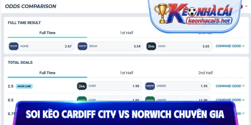Soi kèo Cardiff City vs Norwich cùng chuyên gia