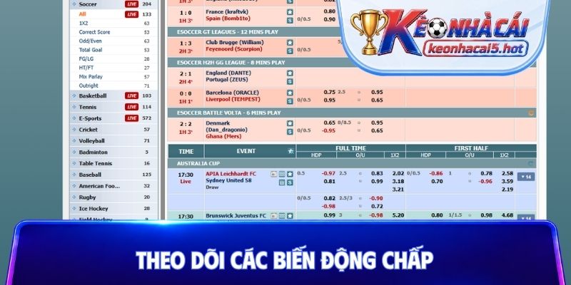Theo dõi các biến động chấp