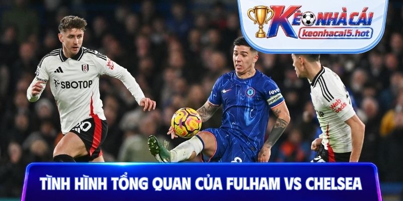 Phân tích tình hình tổng quan của Fulham vs Chelsea