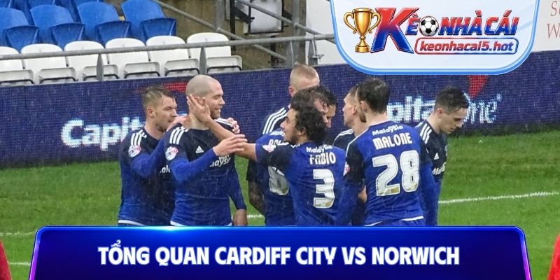 Tổng quan về lực lượng trước trận Cardiff City vs Norwich