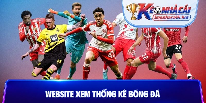 Website xem thống kê bóng đá