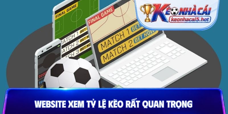 Website xem tỷ lệ kèo rất quan trọng